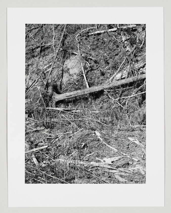 On Humbug Mountain, Clatsop County, Oregon