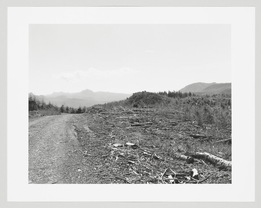 On Humbug Mountain, Clatsop County, Oregon
