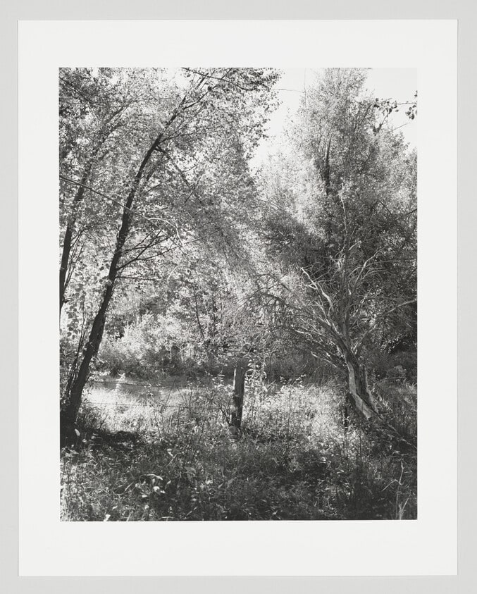 Near Halfway, Baker County, Oregon