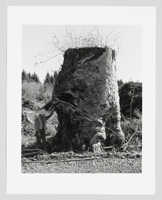 Kerstin, next to an old-growth stump