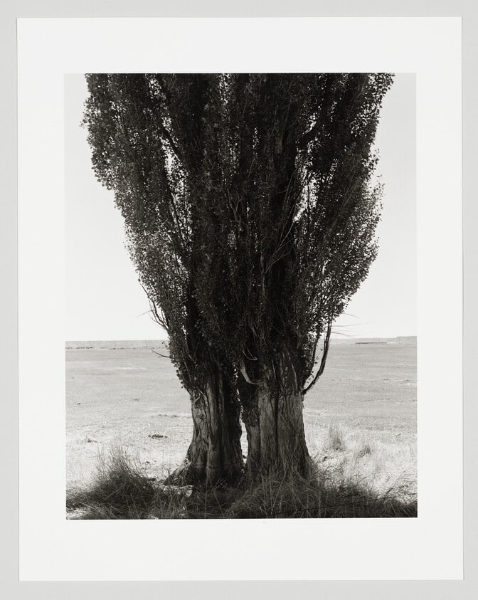 Harney County, Oregon