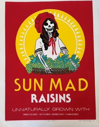 Sun Mad