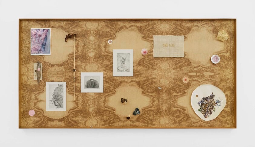 Untitled (Skin, Constellation 5)