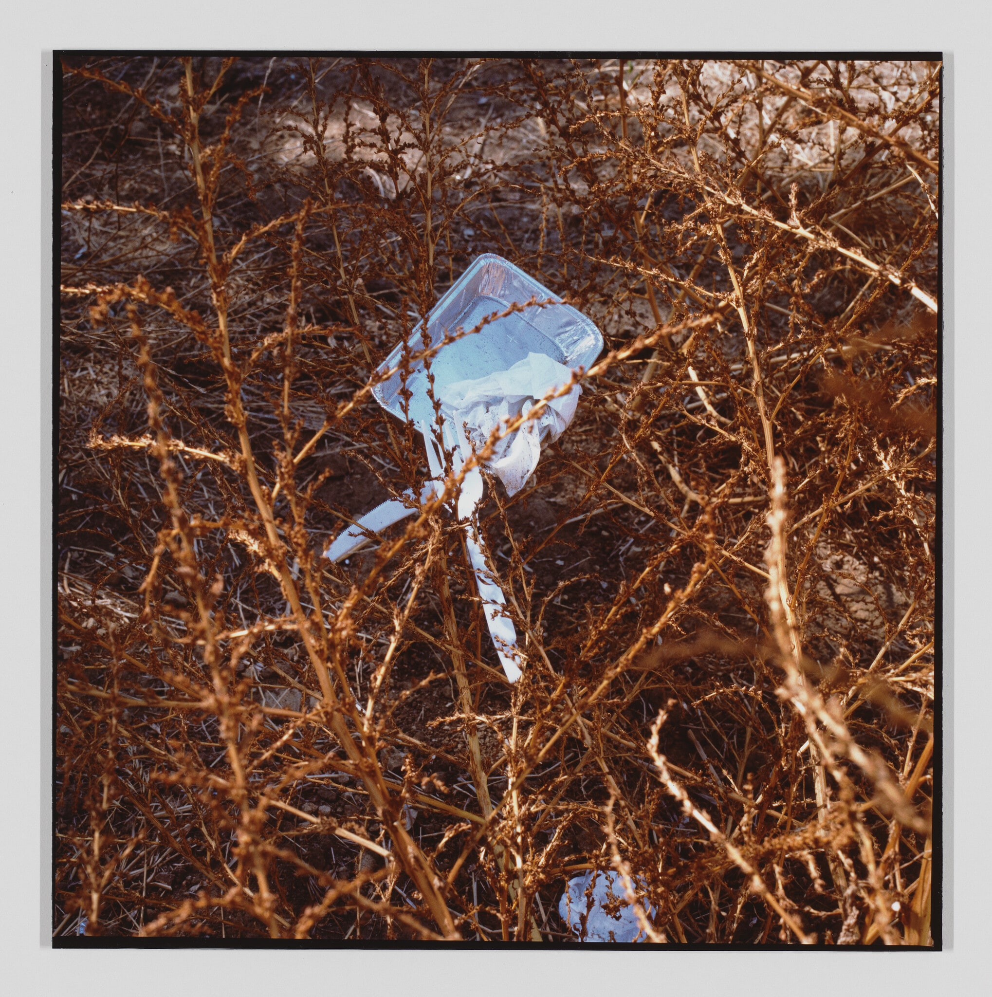 Landscapes for the Homeless, #4