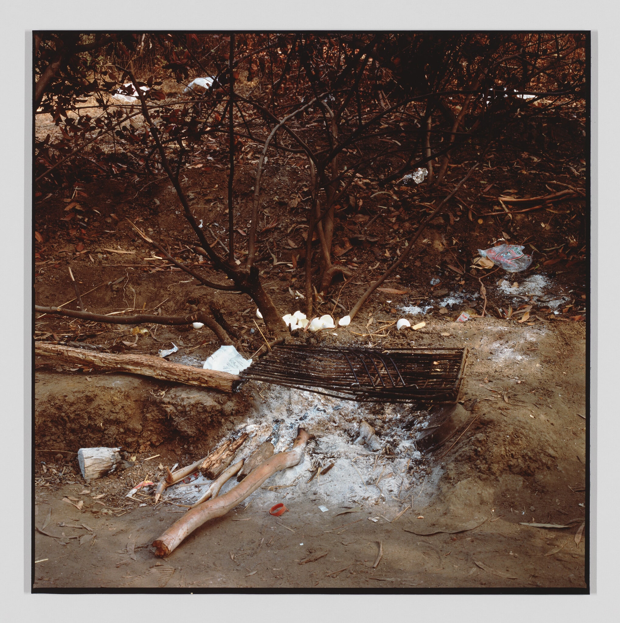 Landscapes for the Homeless, #3