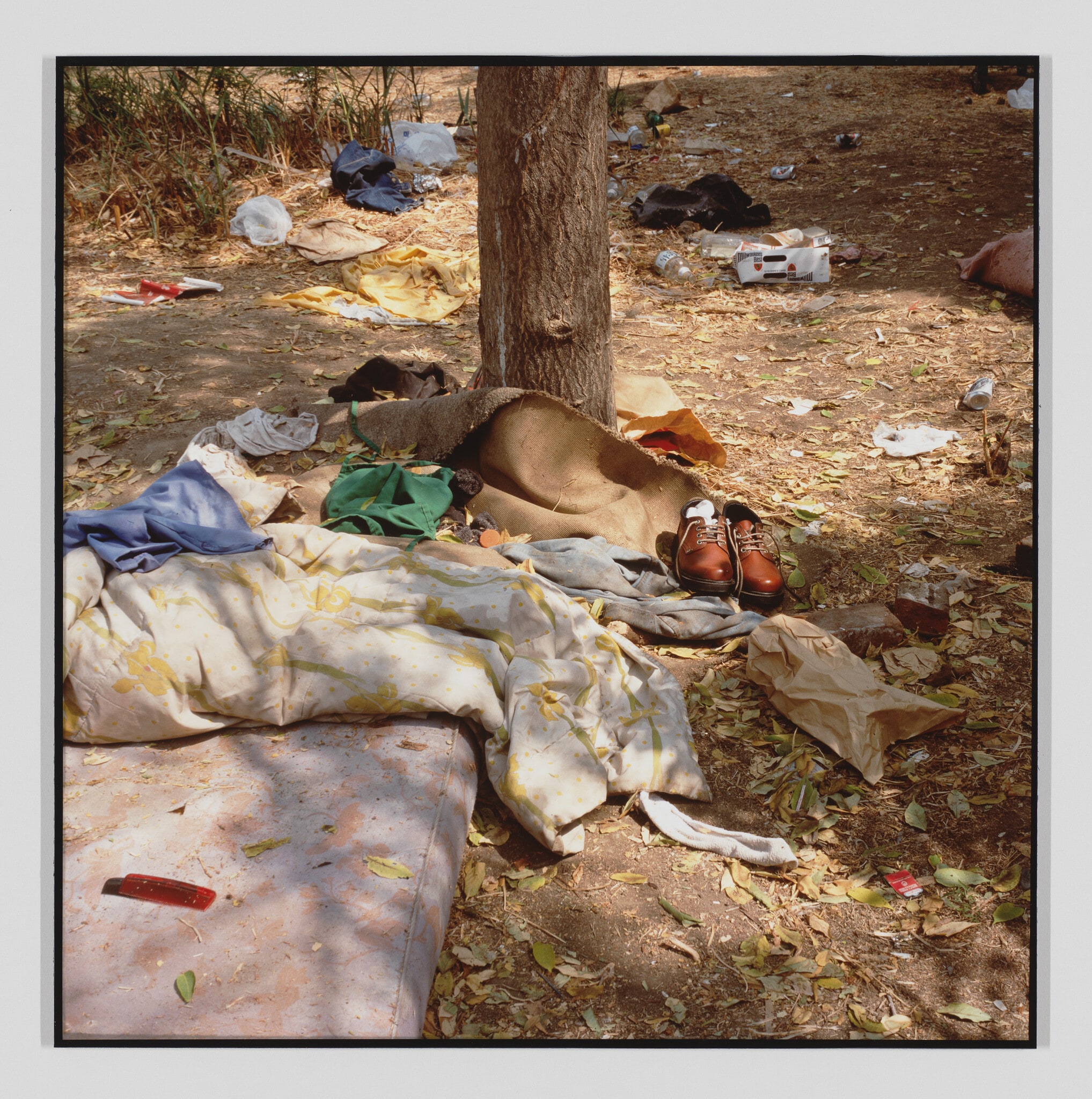 Landscapes for the Homeless, #2