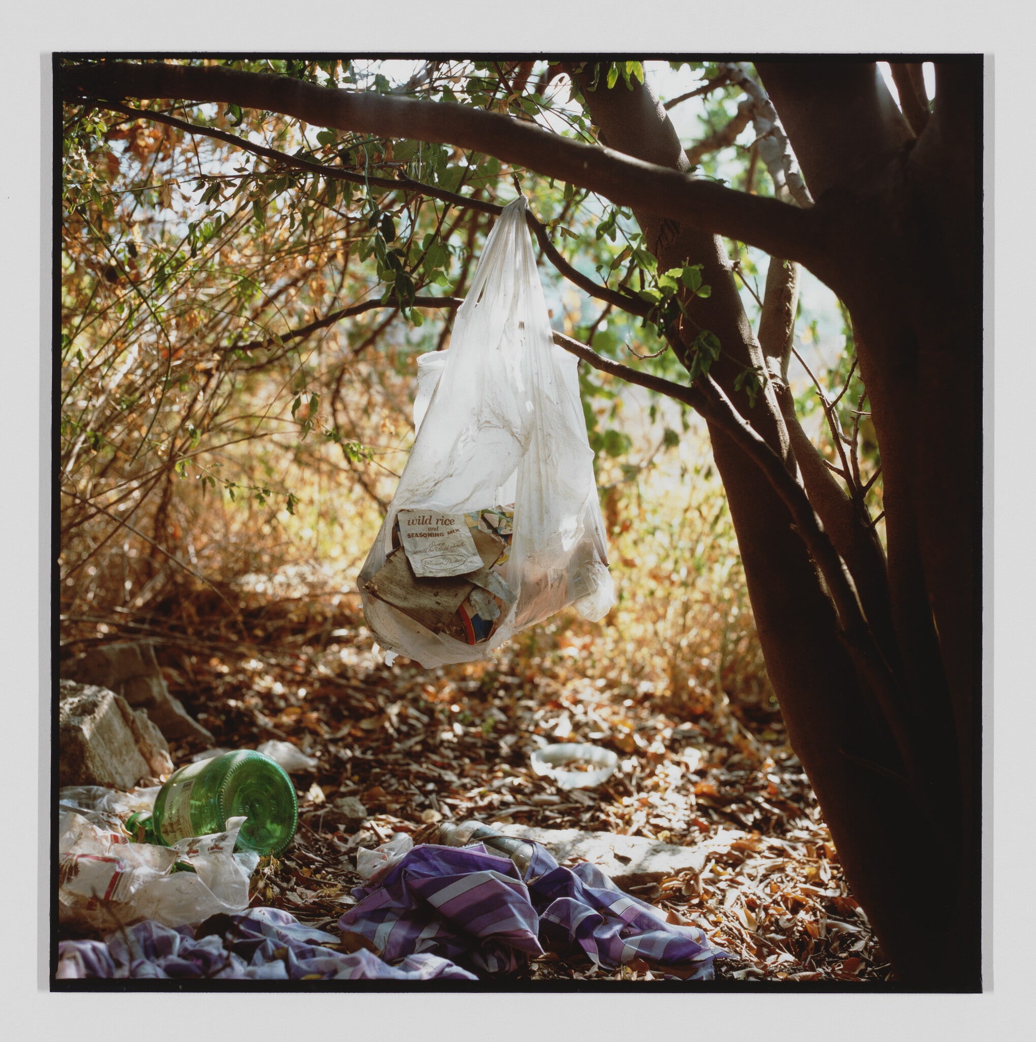 Landscapes for the Homeless, #1
