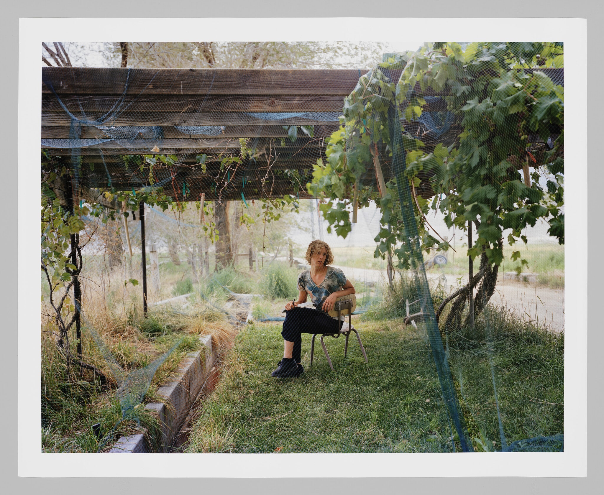Arbor