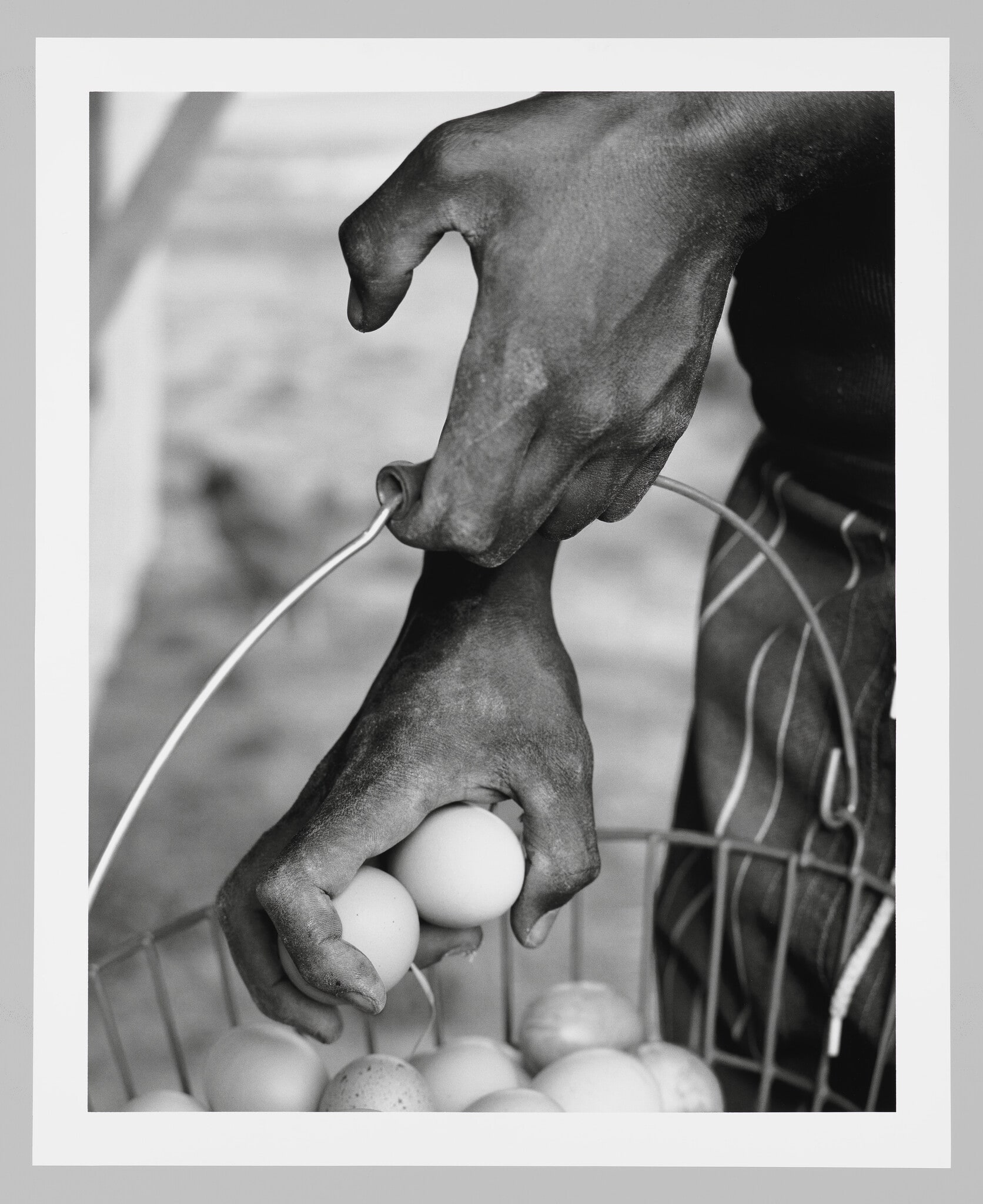Eggs