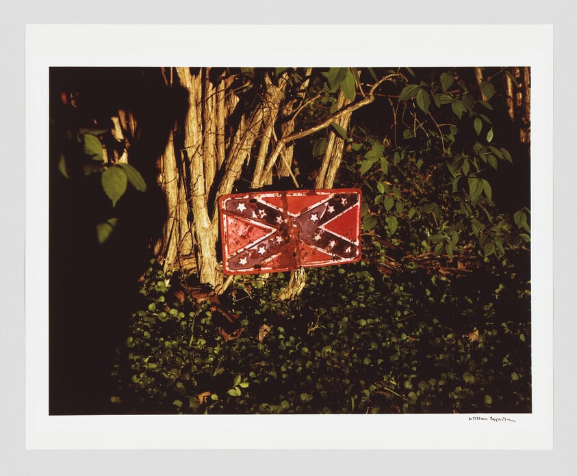 Untitled (Rebel Flag License Plate on Tree)