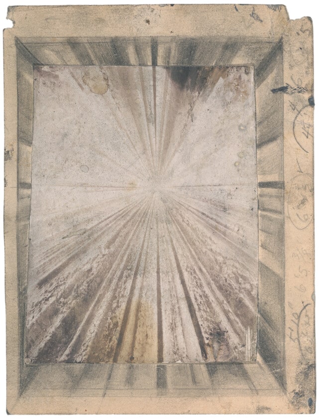 Study for The Rose