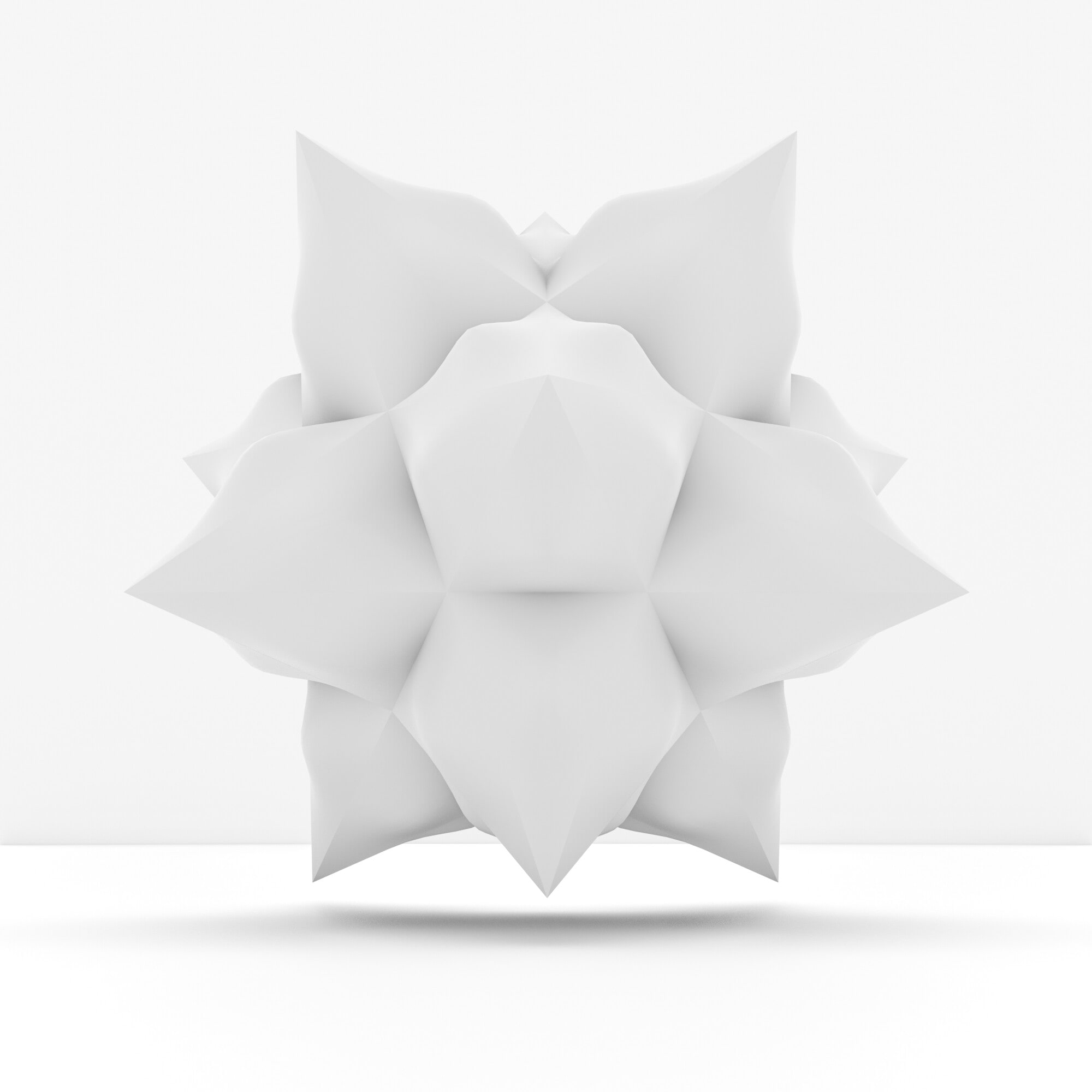 Geometry XXI