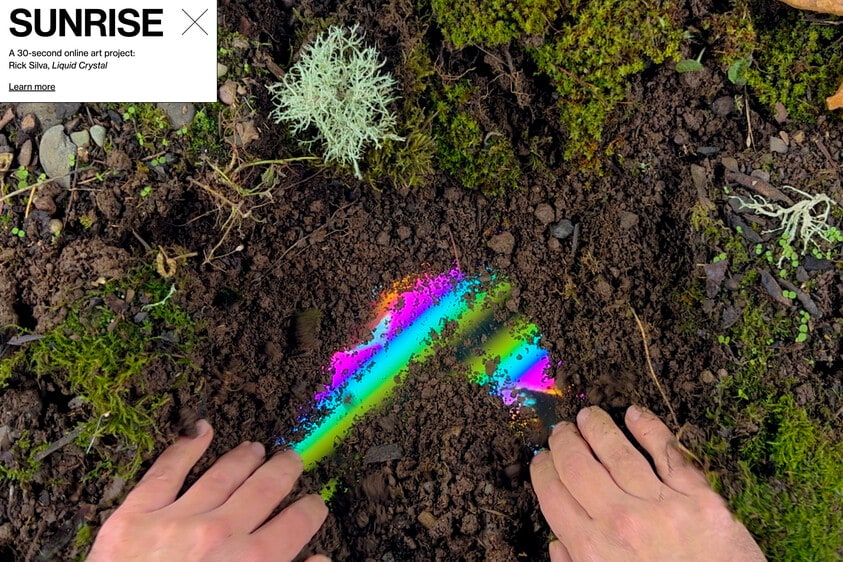 Liquid Crystal