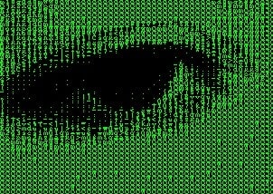Converging the Body and Information