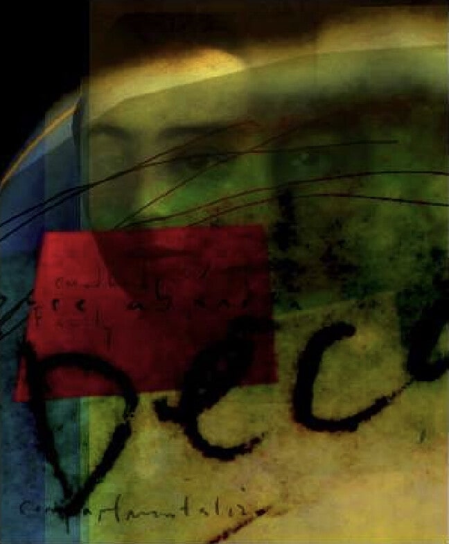 The Presence of Absence