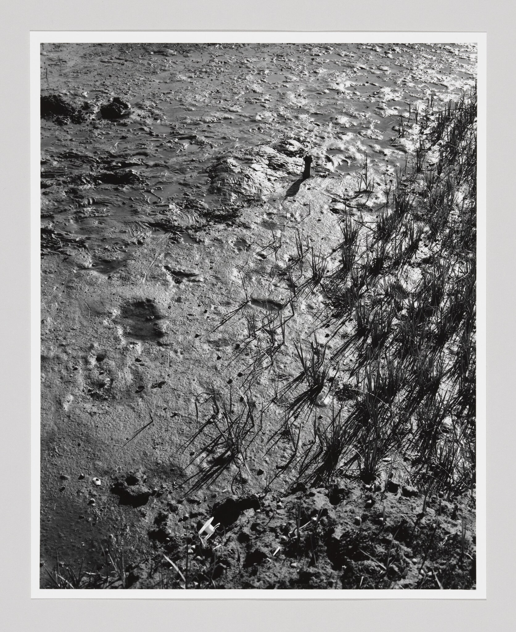 Self-Portrait While Buried #12