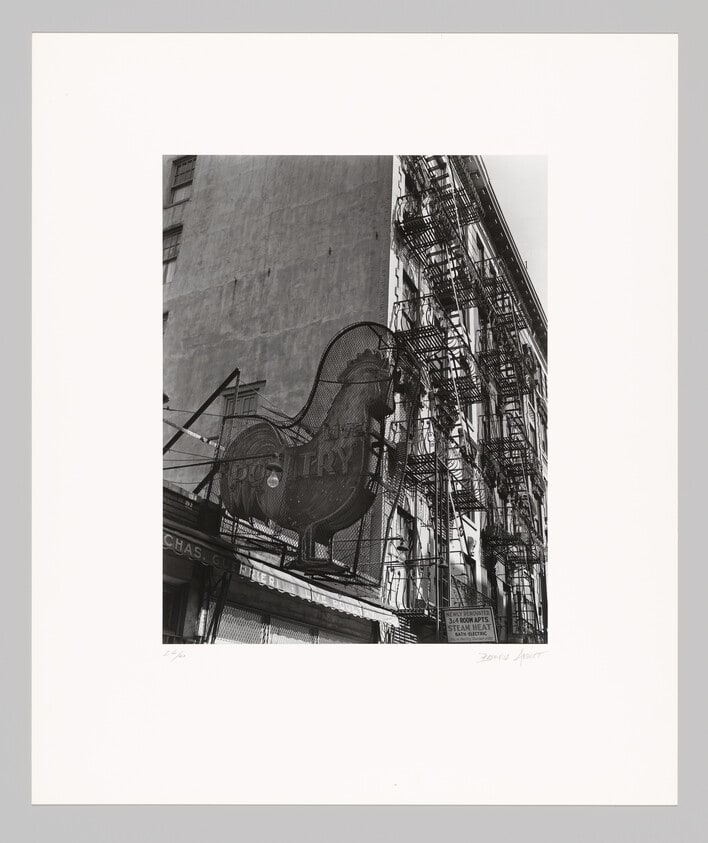 Poultry Shop, Lower East Side, New York City