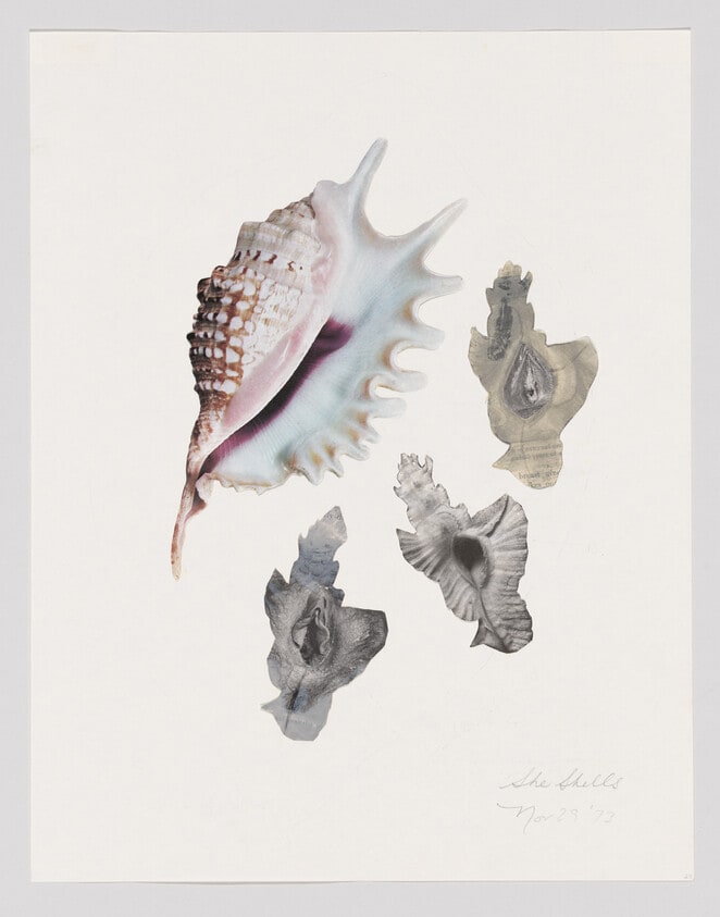 She Shells, 1973