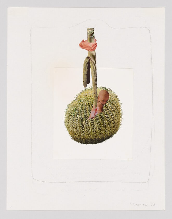 Cactus Stab, 1973