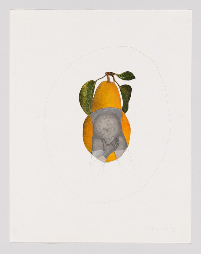 Untitled (pear and embryo)