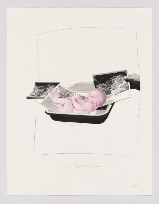 Reproduction, November 15, 1973