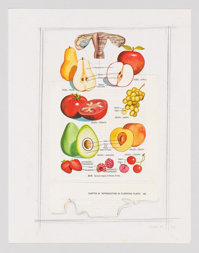 Chart and Ovaries, 1973