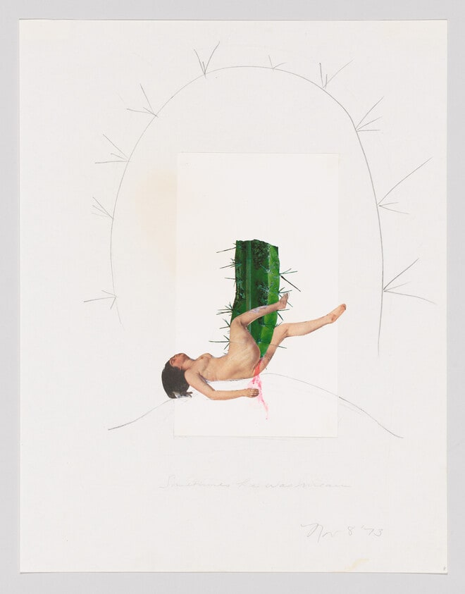 Cactus Rape, 1973