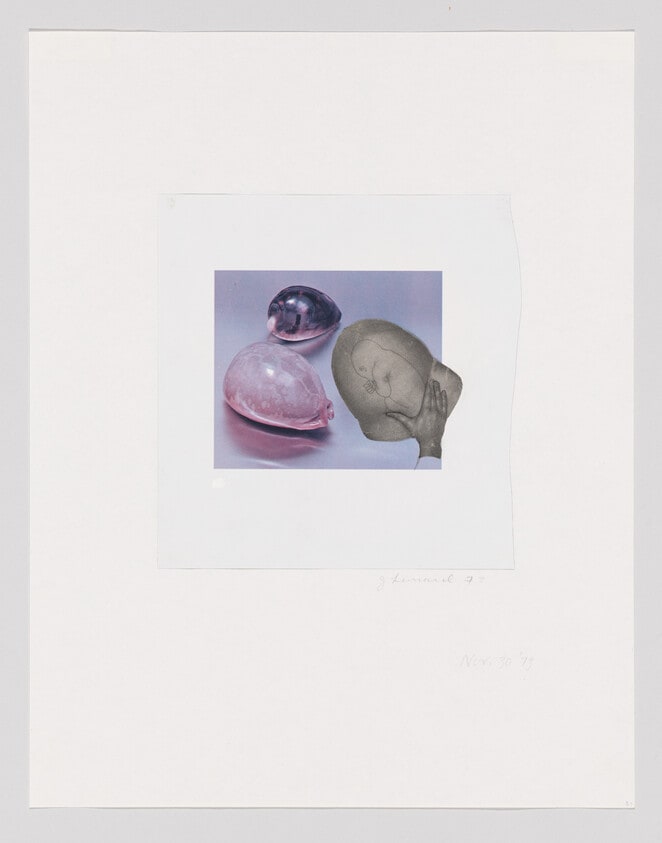 Untitled (cowry shells)
