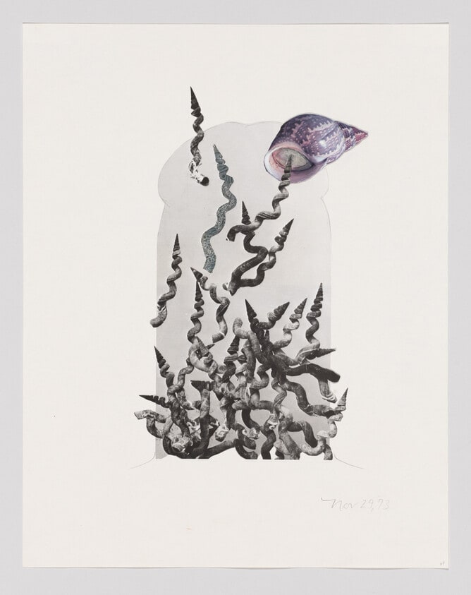 Untitled (many spiral shells and one snail shell), November 29, 1973