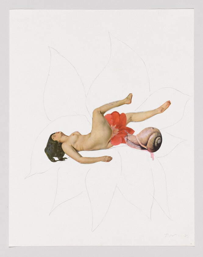 Untitled (woman/flower/snail)
