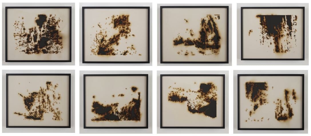 Burned Landscape (America) 4