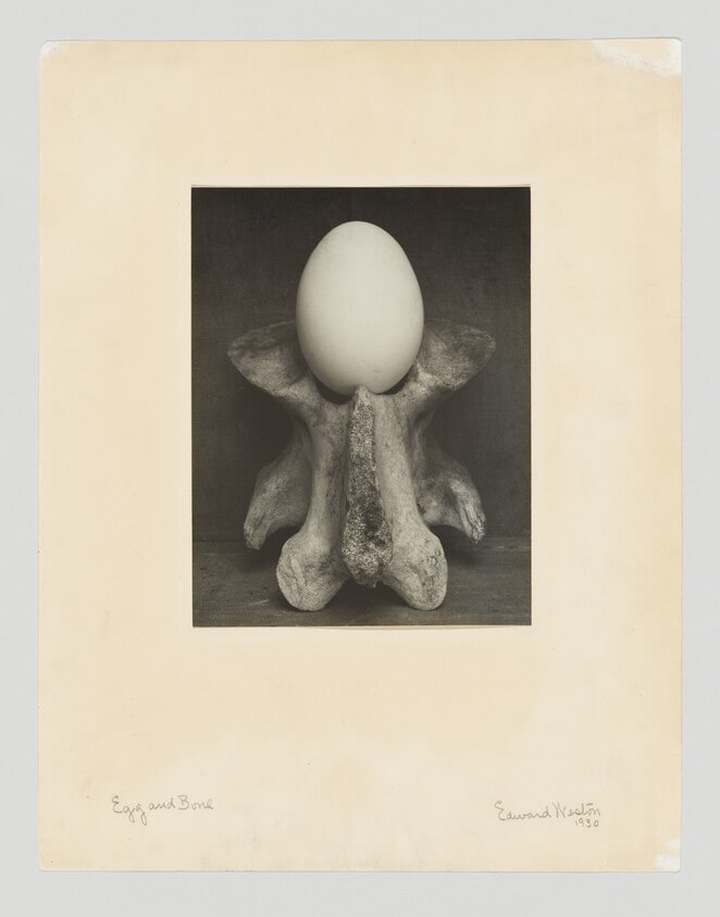 Egg and Bone
