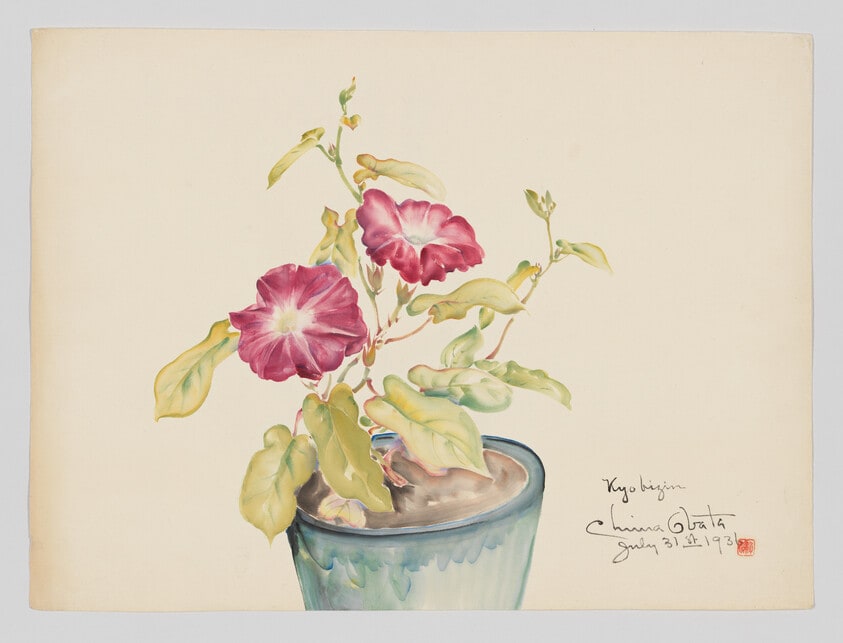 Morning Glories—Kyo Bizin