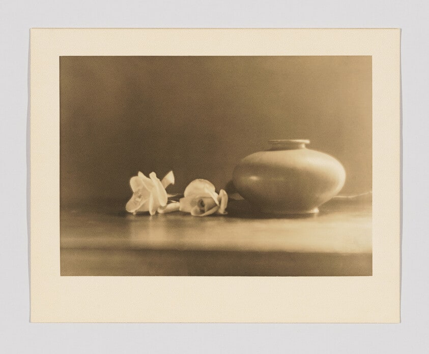 Bowl with Two Flowers