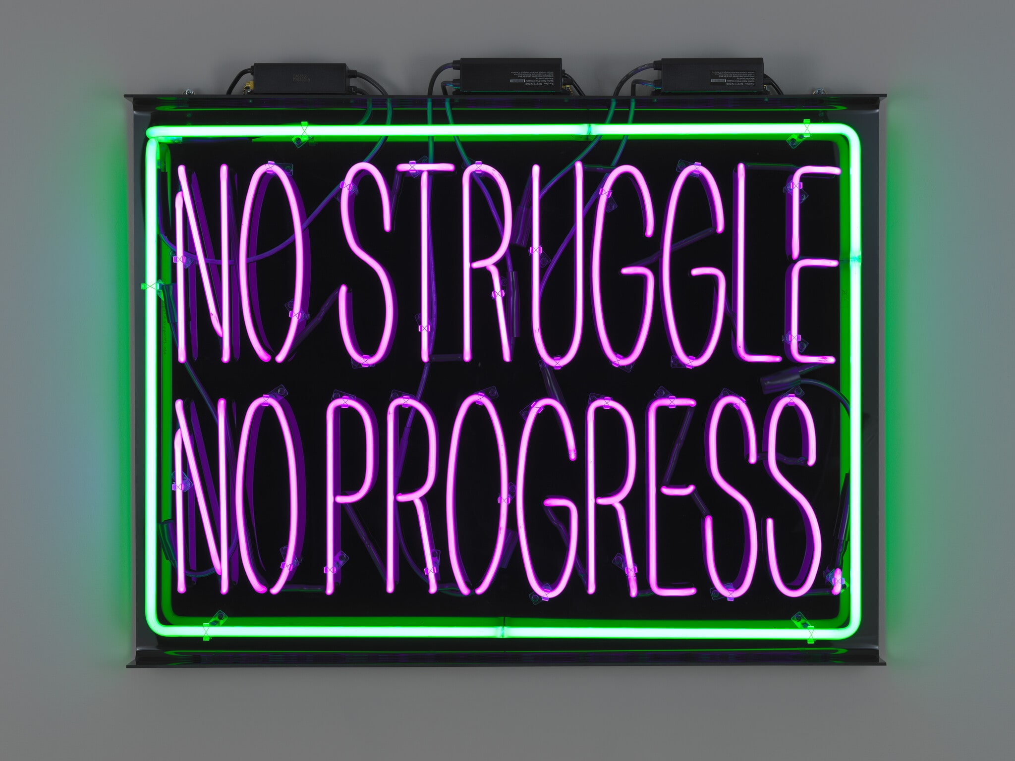 Struggle & Progress (Frederick Douglass)