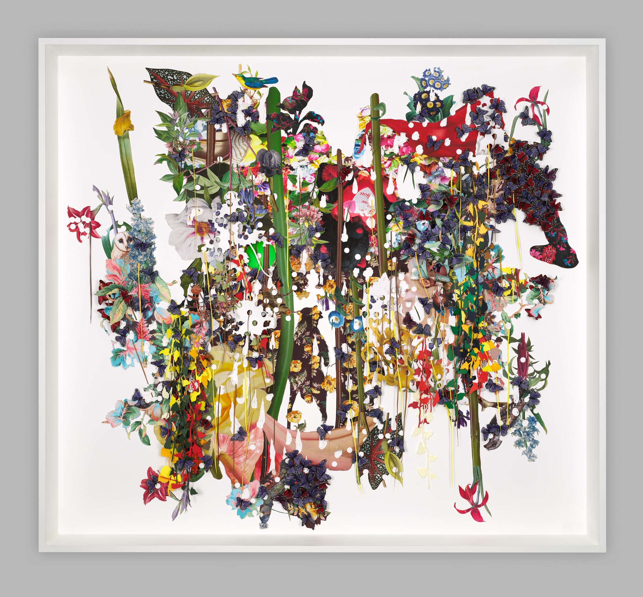 …a possum rises…a black bear falls...a pattoo takes watch…as children whisper through the leaves
