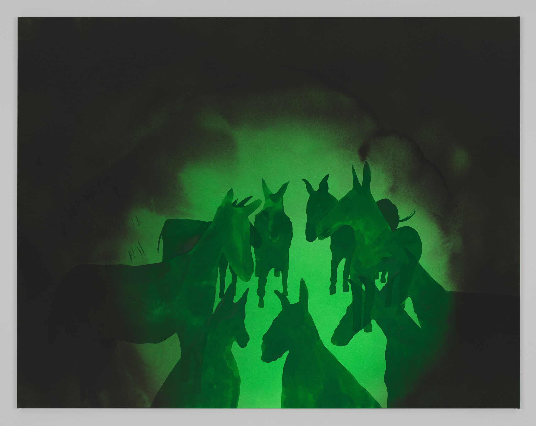 Conspiracy of Asses