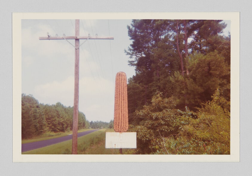 Landscape with Corn Sign (Near Greensboro, Ala.)