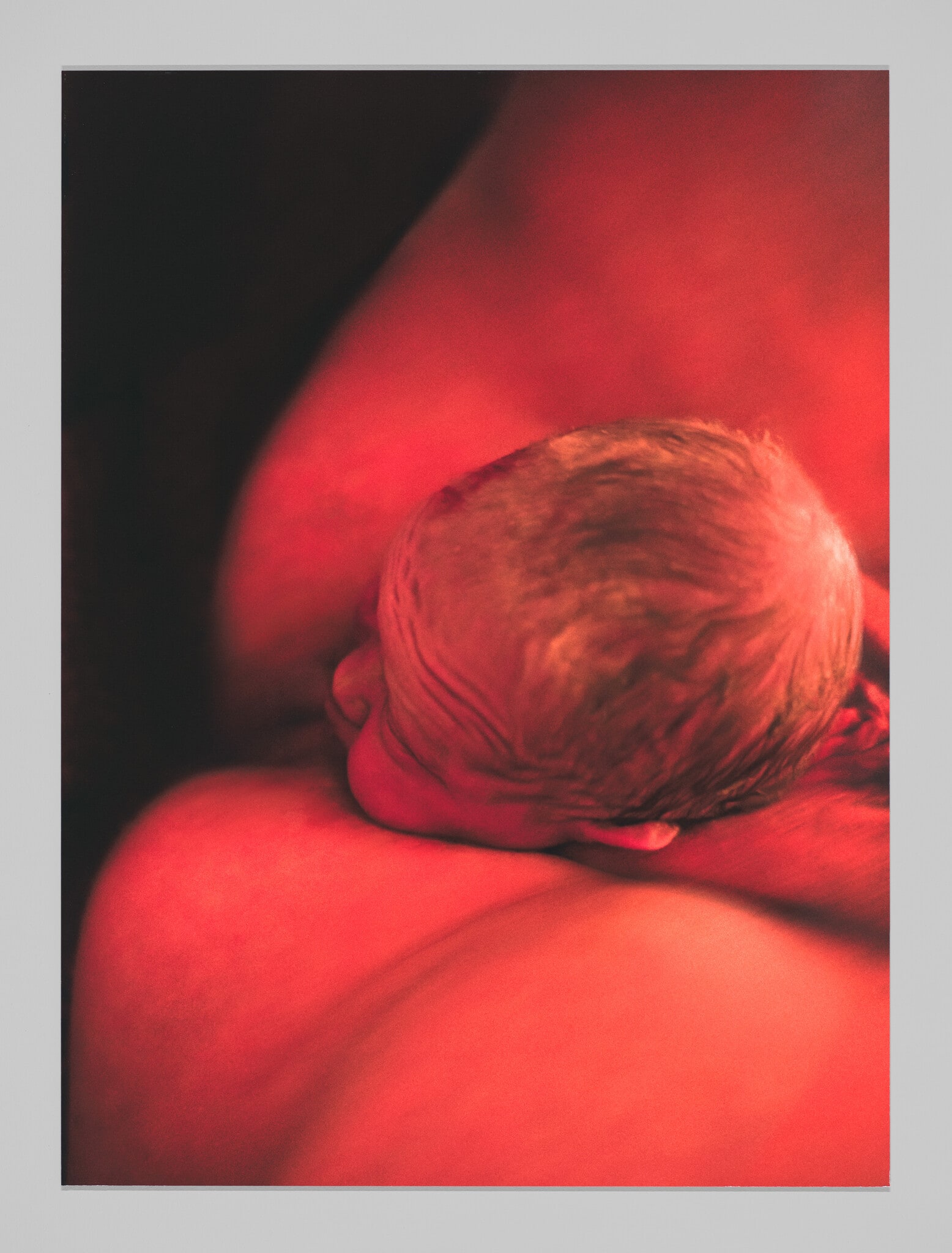 Baby 6