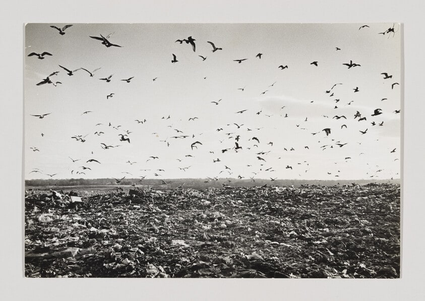 Garbage, Staten Island Landfill