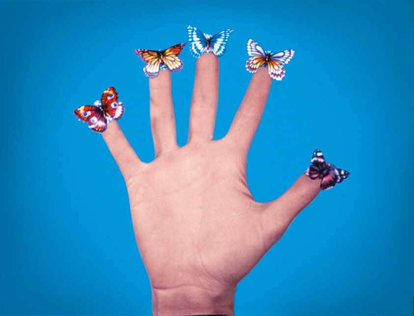 Some Butterflies