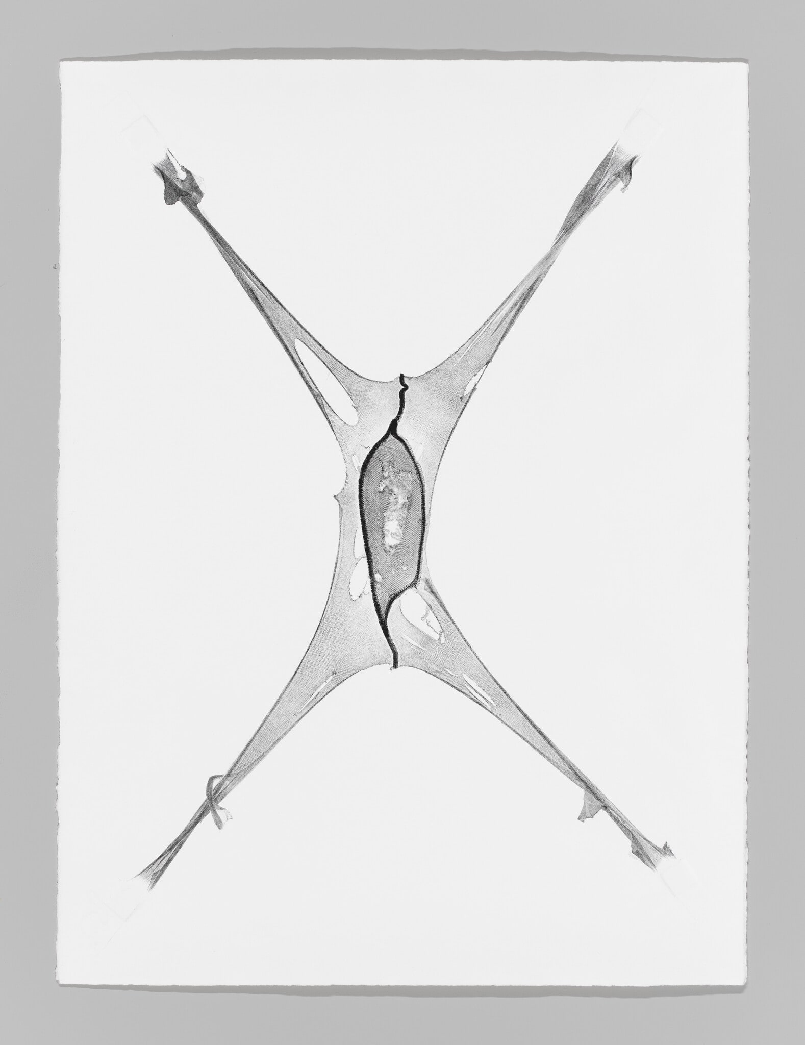 Expanded VI