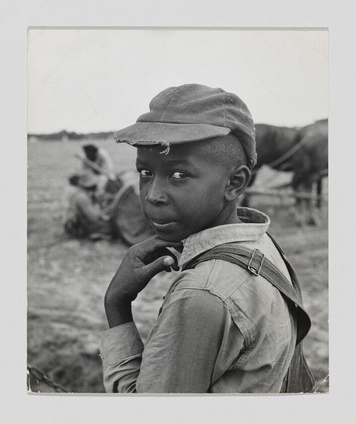 A young negro field worker on the C.L. Hardy tobacco plantation near Maury, N.C.