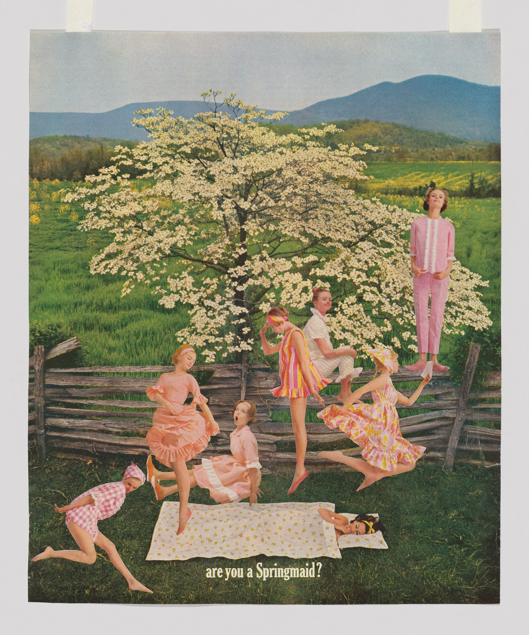Are You a Springmaid? II
