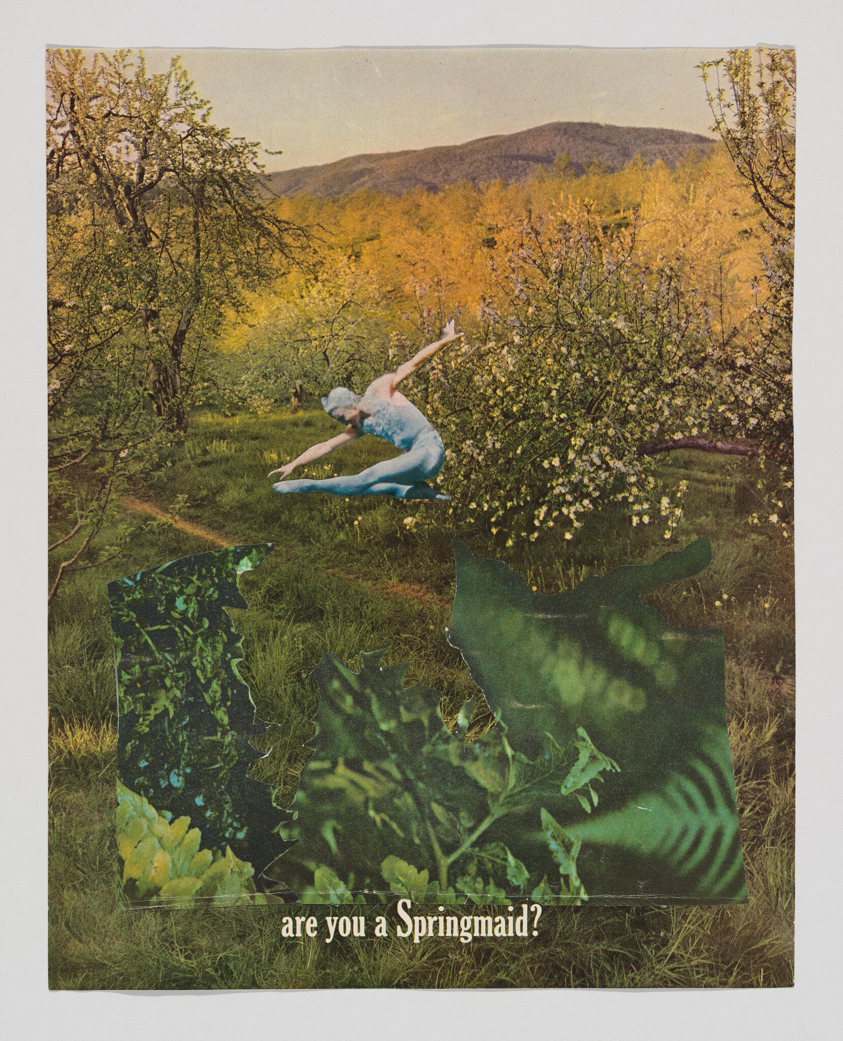 Are You a Springmaid?