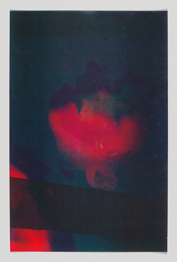 Red Self-Portrait with Shadow