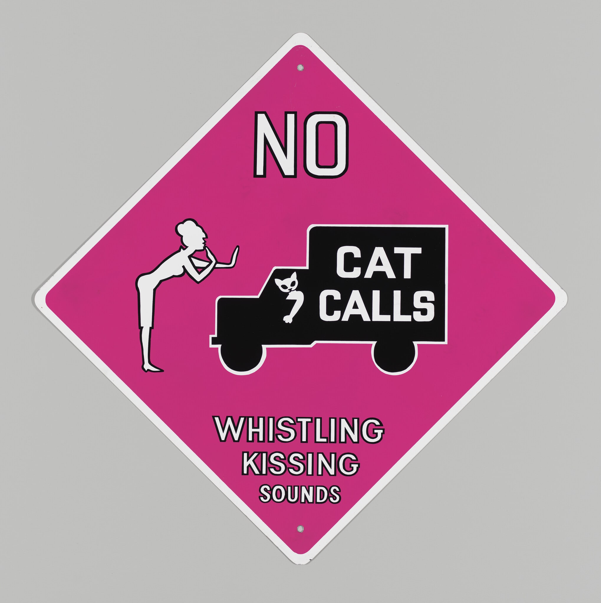 No Cat Calls [Emily Post Street Signs]
