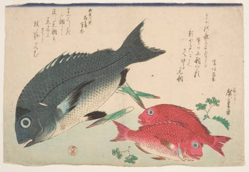 Black Sea Bream, Small Sea Bream, and Sanshō Pepper
