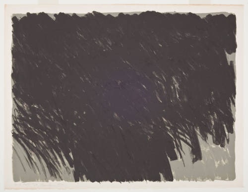 Dark Field