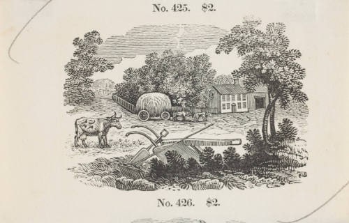Farm Landscape